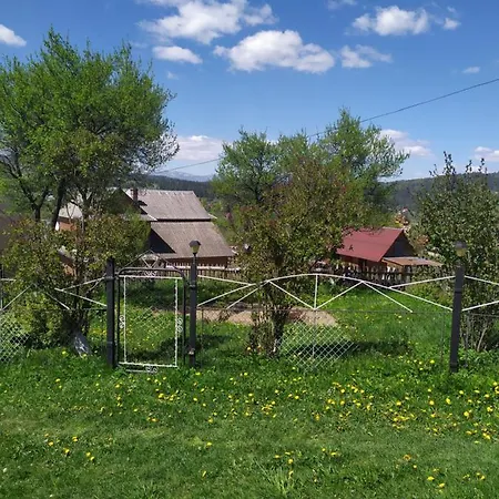 Зорецвіт