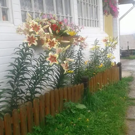Apartment Зорецвіт *